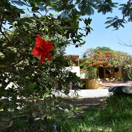 La Cabana *
